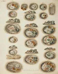 Clay Tubs Where Bodies and Offerings Were Placed at Burial