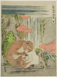 Monkey, from the series 