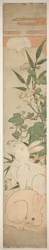 Morning-Glories, Rabbits, and Moon