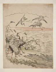 Returning Cranes