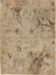 Sheet of Studies