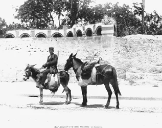 A Campiere, Palermo