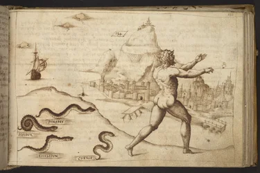 Snakes pursuing a human figure, from Historia Animalium
