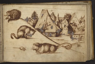 Cats catching mice (