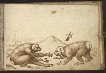 Dog-like Creatures Fighting (