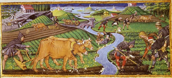 Agriculture at the Beginning of the 15th Century. Biblioteca Ricciardiana, Florence