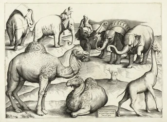 Animal Paintings from Ancient Rome, Table, 3., pub. Antonio Lafrere 1528