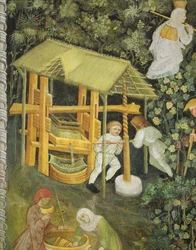 Crushing grapes. The wine press