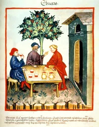 Drunkenness, illustration from Tacuinum Sanitatis Codex Vindobonensis