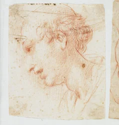 Head of a Young Man in Profile