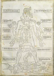 Illustration from 
