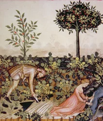 Harvesting Horseradish, from Tacuinum Sanitatis Codex Vindobonensis