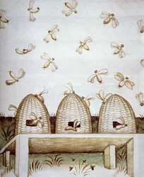 Beehives, from Tacuinum Sanitatis