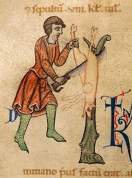 November, Butcher quarters pig, Miniature from Martyrology of Adonis