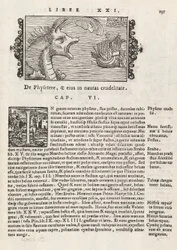 Page 735 from Historia De Gentivus Septentrionalibus by Magnus Olaus, Rome 1565