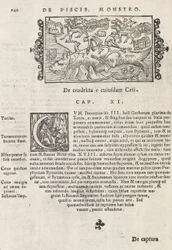 Page 740 from Historia De Gentivus Septentrionalibus by Magnus Olaus, Rome 1565