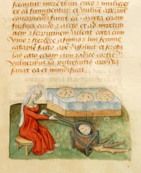 Page from the Tractatus de Herbis by Dioscorides Pedanius