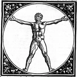 Plate taken from the book 