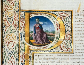 Portrait of Pliny the Elder