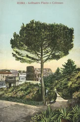 Rome, Italy, Amphitheatre and Colosseum