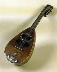 Still life of Neapolitan mandolin invented by Giuseppe Filano. Naples 1784