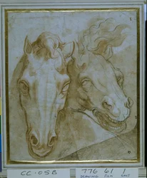 Studies for the heads of two horses