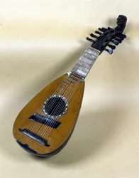 Venetian mandolin still life.