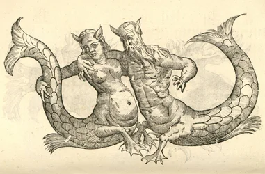 Illustration of Monstra Niliaca Parei from Aldrovandi