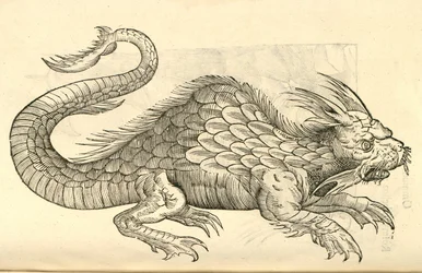 Illustration of Orobonis Piscis effigies from Aldrovandi
