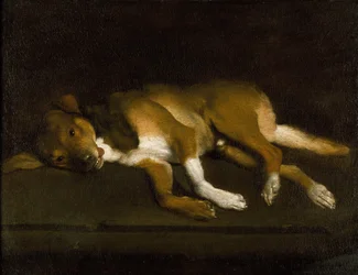 A Dog Lying on a Ledge, c.1630-1720