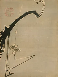 Plum Blossoms