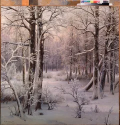 Hoarfrost