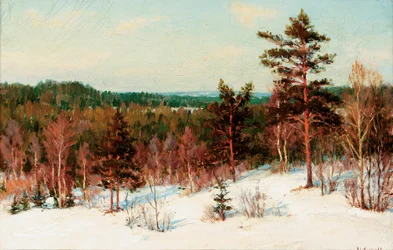 Winter - View over the Forest