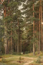 A Summer Day, Merikiul