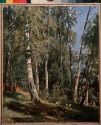 Birch Grove, painting by Ivan Ivanovich Shishkin (Shishkin) (1832-1898)