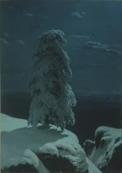 In the Wilds of the North