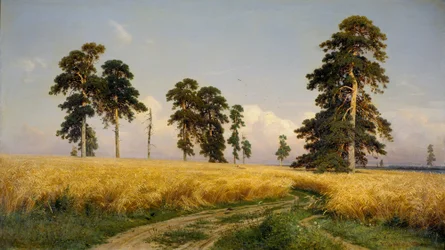Rye