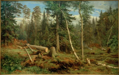 I. I. Shishkin, Logging