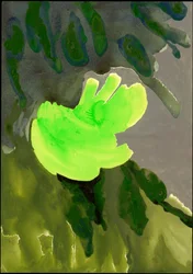 Kensington Gardens Series: Leaf Cascade
