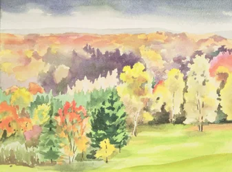 No.64 Autumn, Beaufays, Liege, Belgium
