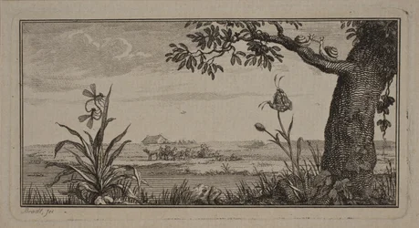 View Over a Flat Landscape, in the Foreground a Plant with Insects and a Tree with Snails