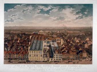 The Genuine Beer Brewery, Golden Lane, London