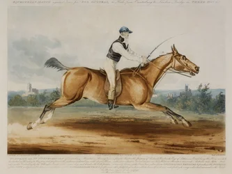 Portrait of Mr William Hutchinson on 