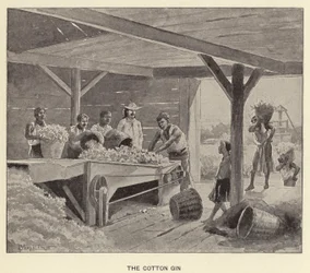 The Cotton Gin