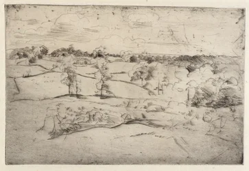 Landscape