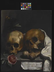 Vanitas Still Life