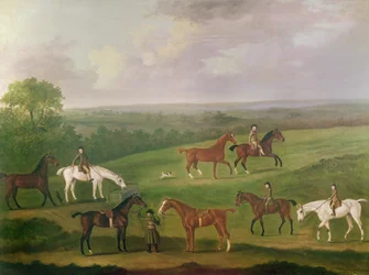 Horses at Exercise