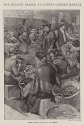 The Walnut Season at Covent Garden Market, London