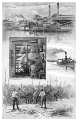 The Sugar Industry, Richmond River, New South Wales, Australia