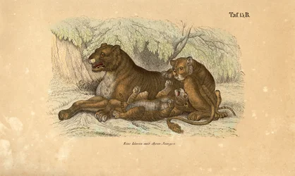Lioness with Her Cubs